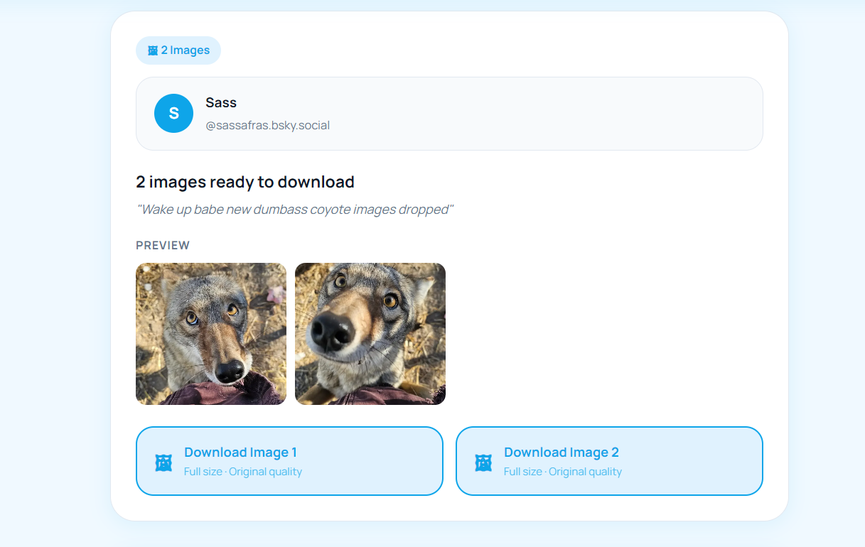BskySuite downloader showing a Bluesky post with a download button for each image