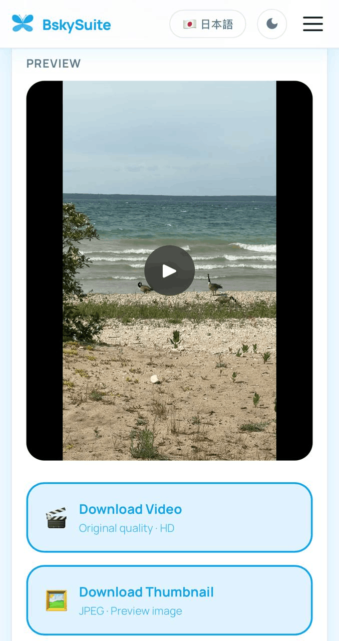 BskySuite video downloader running in mobile Safari on iPhone, showing the Download Video button