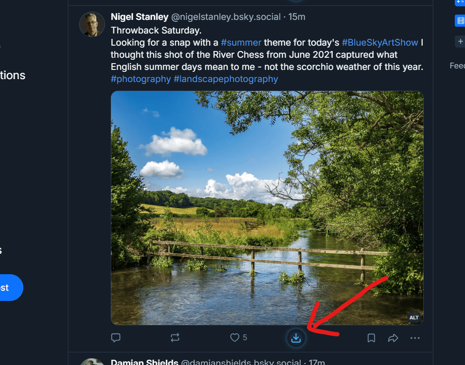 The Bluesky Media Downloader download button appearing directly on a post inside the Bluesky feed